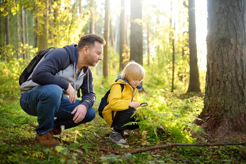 A father explores the woods with his son and weighs up the benefits of an Educational IRA Certificate.