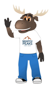 Money-Moose-GIF-2