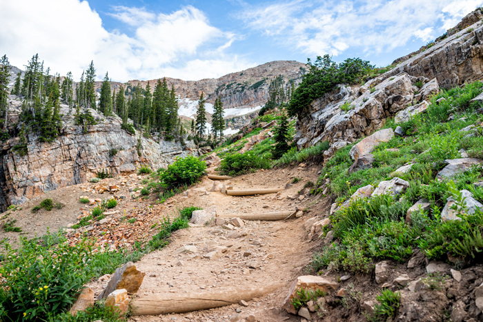 Wasatch Mountains hiking trail