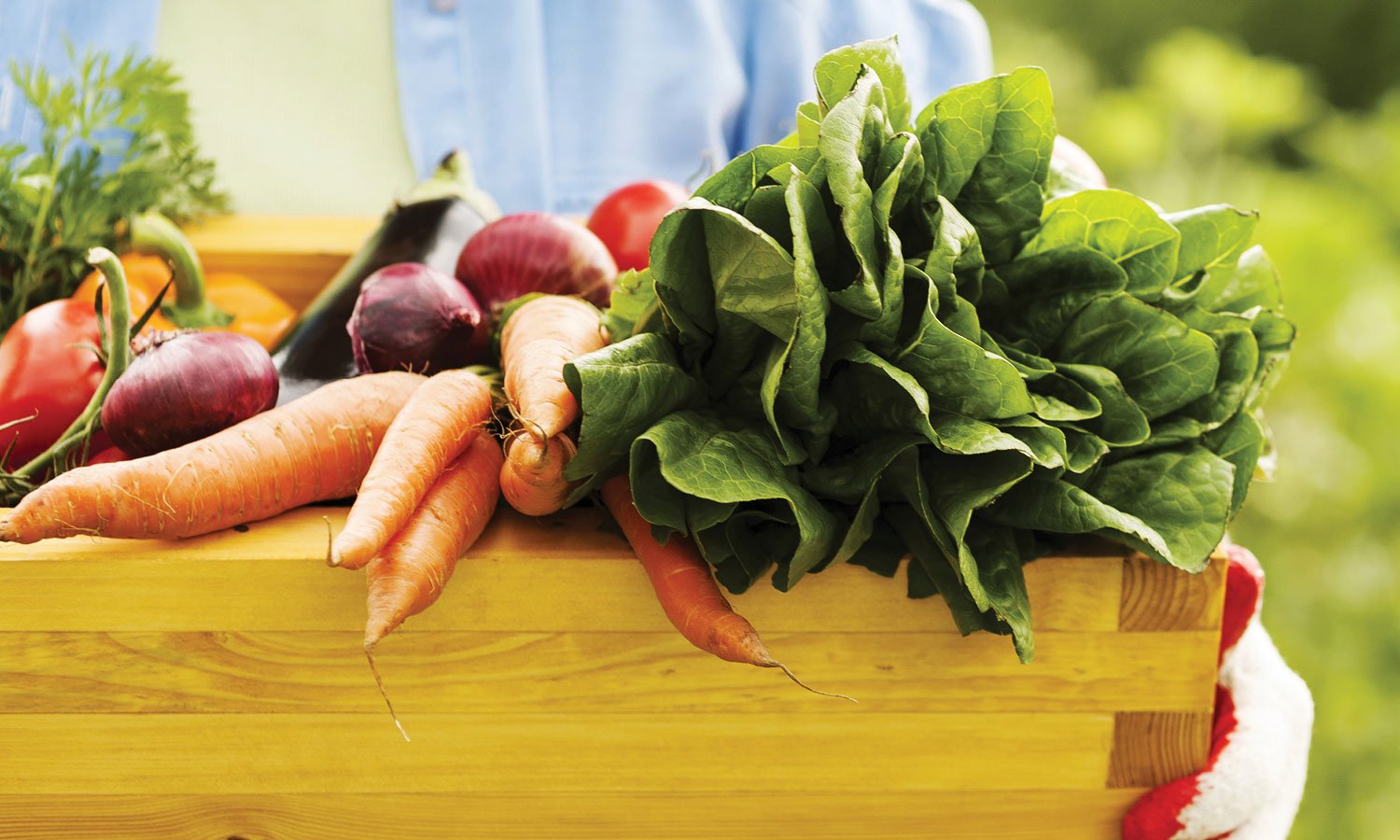 basket full of fresh produce including carrots, a head of lettuce, onions, tomatoes