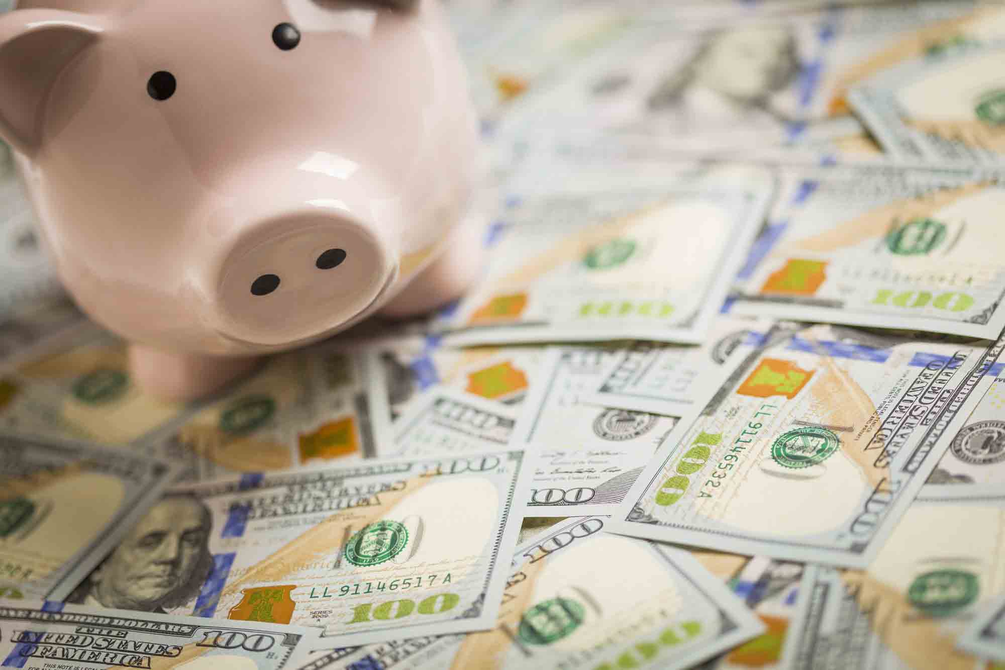 Piggy Bank and money