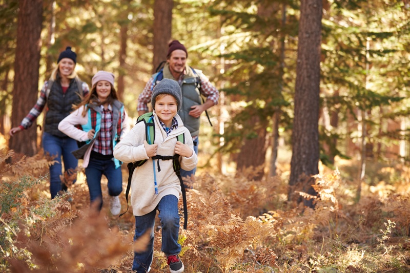 Family hiking in the woods