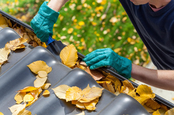 Taking leaves out of gutter