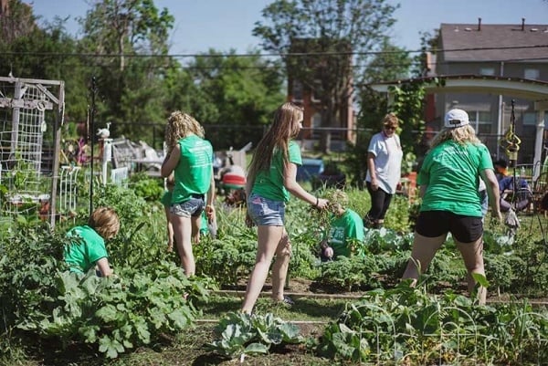 Kids pulling weeds in a backyard