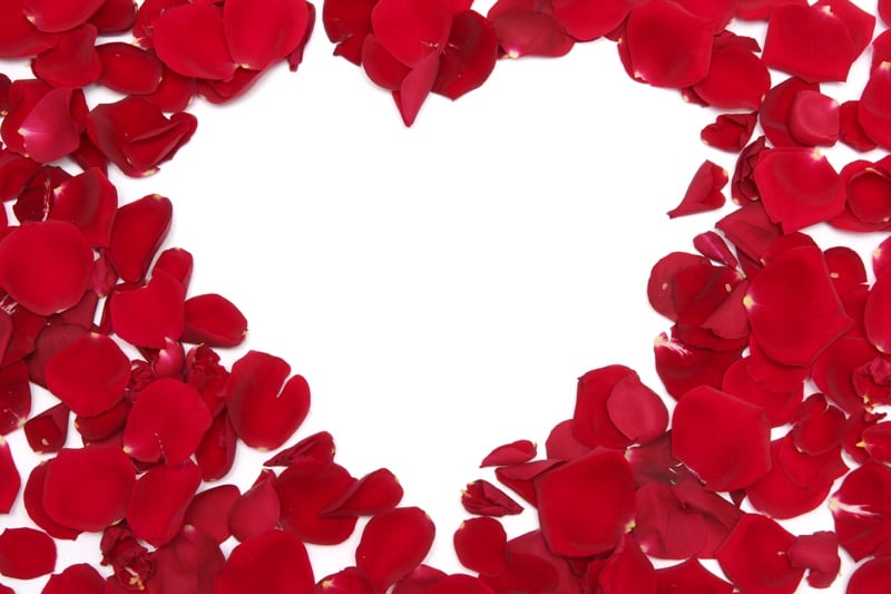 Valentines Day Petals Heart