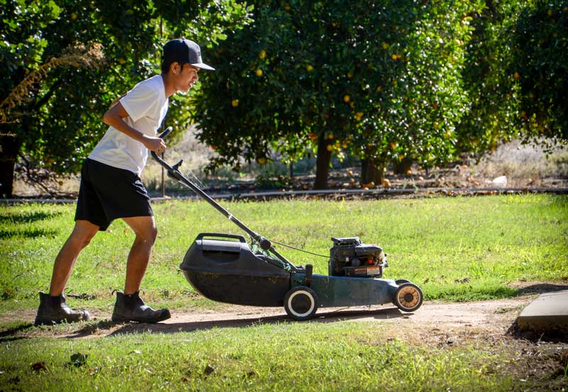 mowing lawn